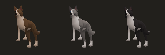 Border Collie, coats 1 to 3